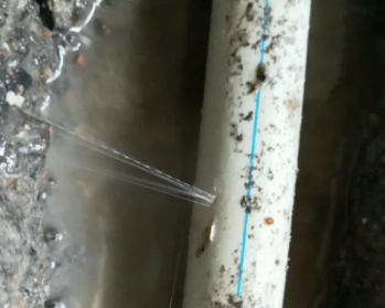 西华卫生间测漏水多少钱