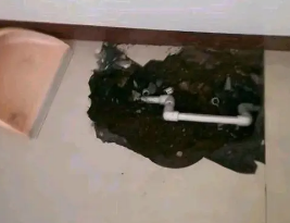 西华卫生间测漏水多少钱
